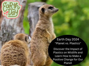 Earth Day 2024 "Planet vs. Plastics” Did You Know Plastic Debris is Causing Great Harm to Our Wildlife?