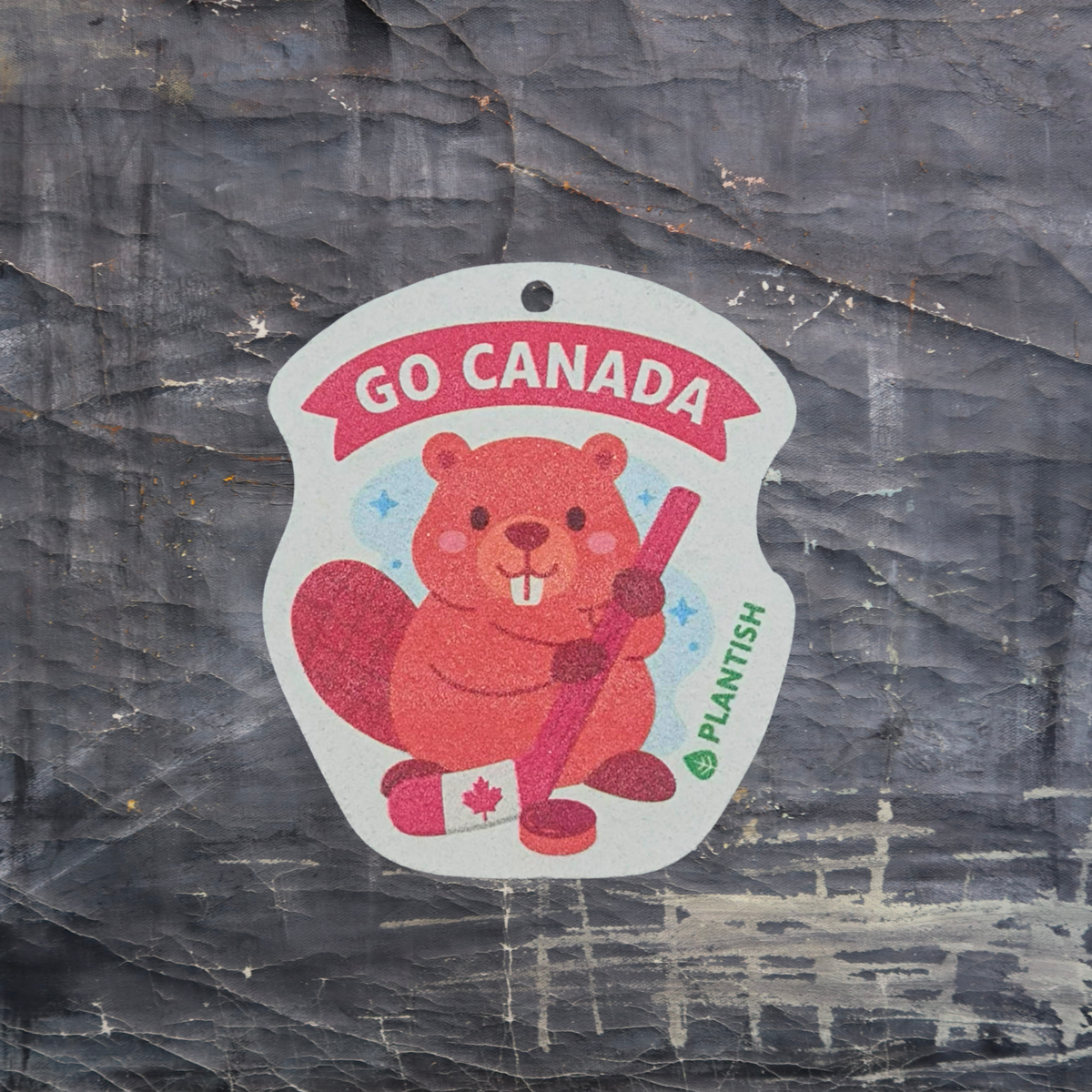 Set of 3 Canadian Beaver Friends Pop Up Sponges