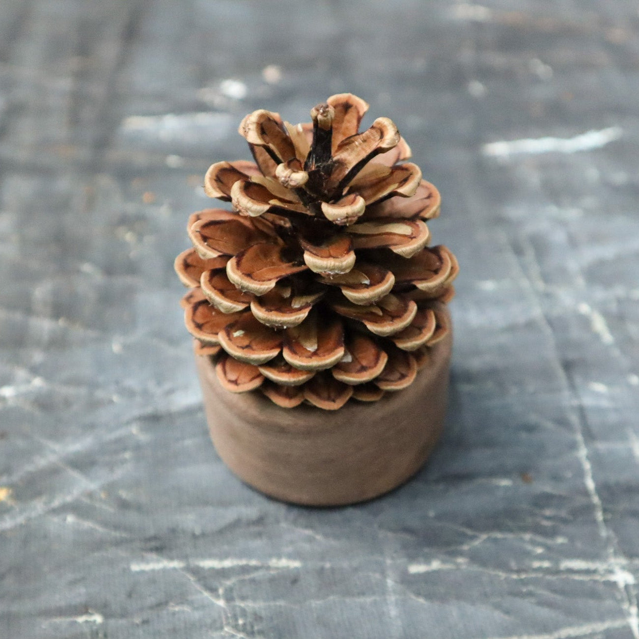 Pinecone Wooden Essential Oil Diffuser