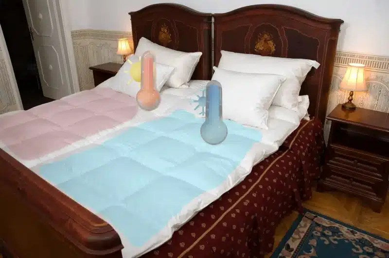 Dual zone down comforter, Best Rated Goose Down Comforters for couples