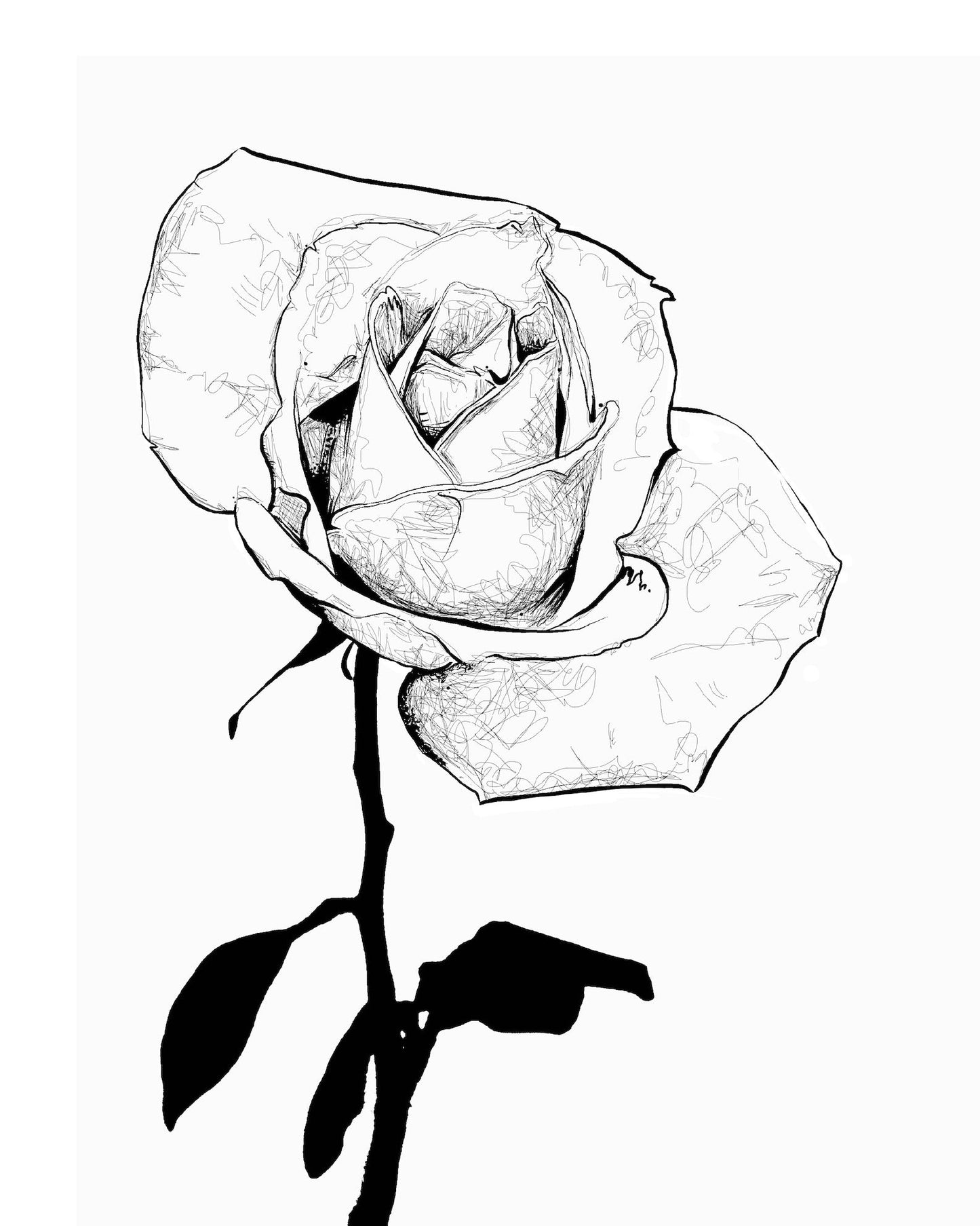 Black and White Single Rose Art Print