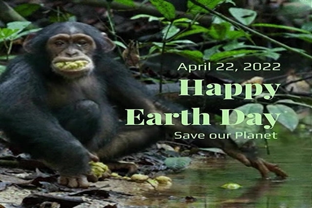 Earth Day 2022: Suggestions to Reduce Your Carbon Footprint and Help Save the Planet