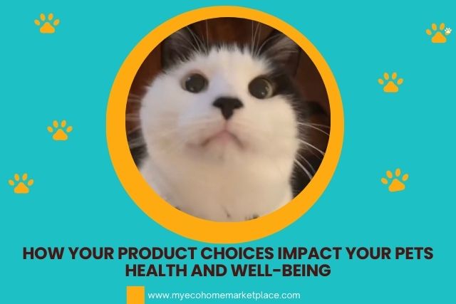 How Your Product Choices Impact Your Pets Health And Well-Being