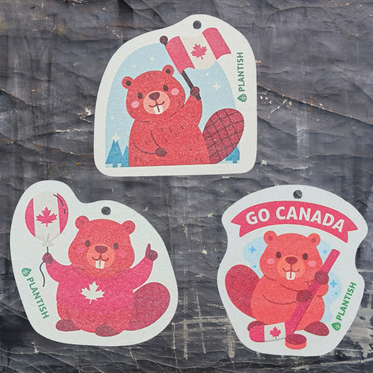 Set of 3 Canadian Beaver Friends Pop Up Sponges