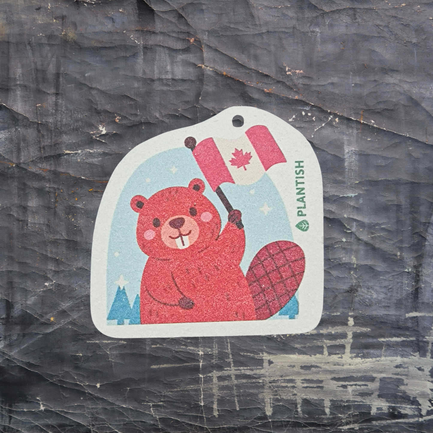 Set of 3 Canadian Beaver Friends Pop Up Sponges