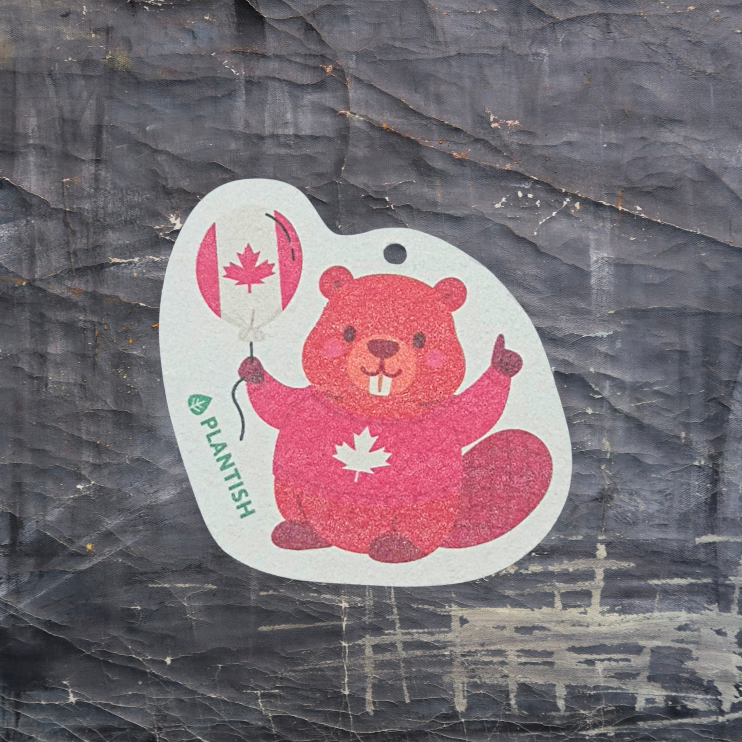 Set of 3 Canadian Beaver Friends Pop Up Sponges
