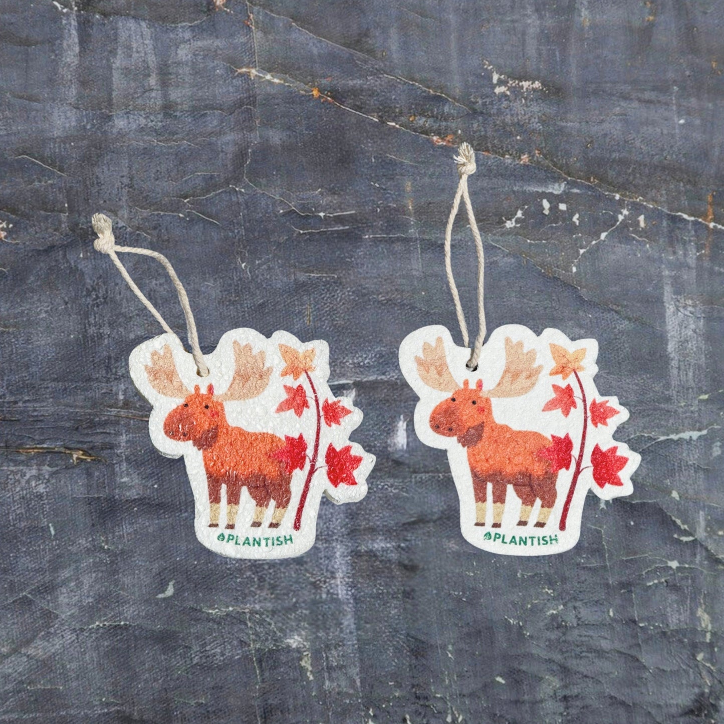 Autumn Moose - Pop up Sponge