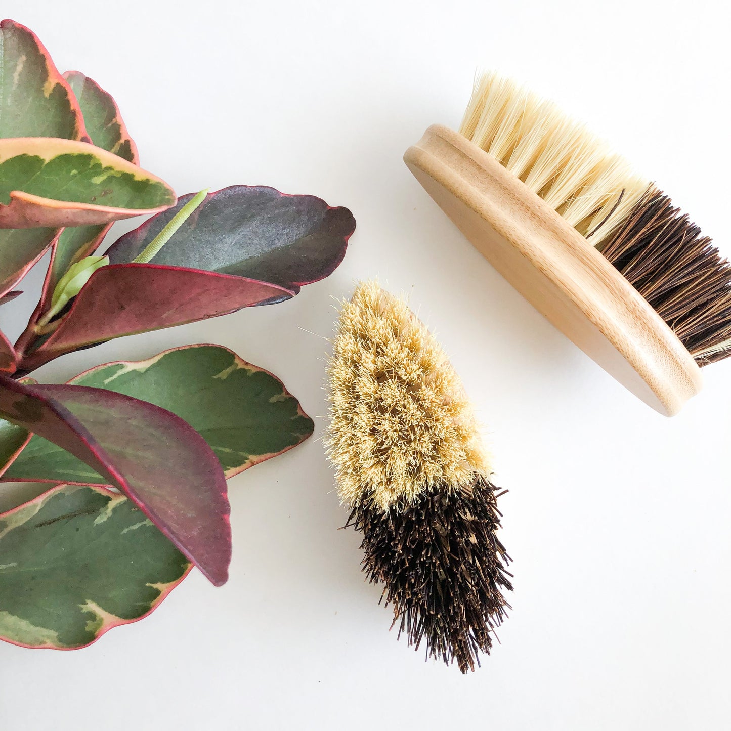 Bamboo Sisal/Palm Fiber Vegetable Brush