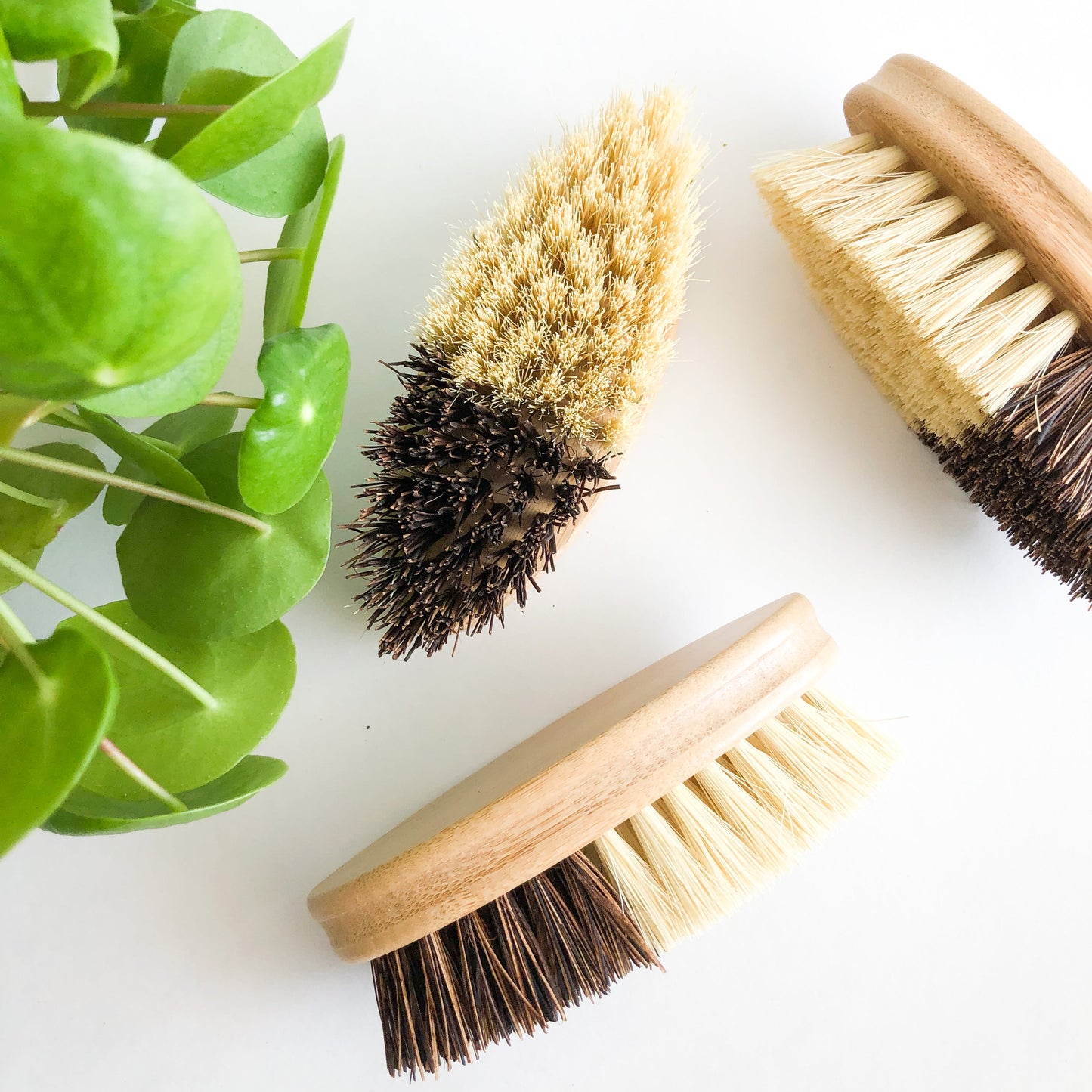 Bamboo Sisal/Palm Fiber Vegetable Brush