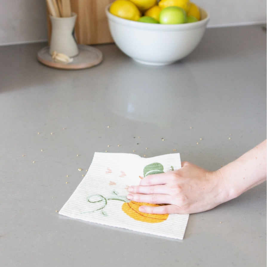 Pumpkin Patches Sponge Cloth