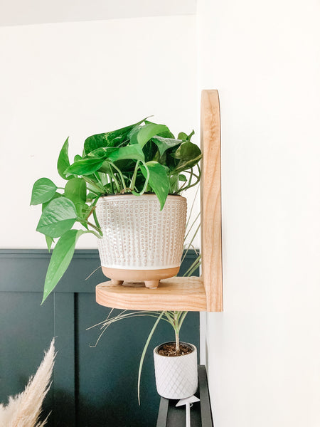 Little Shelf - Branches-2