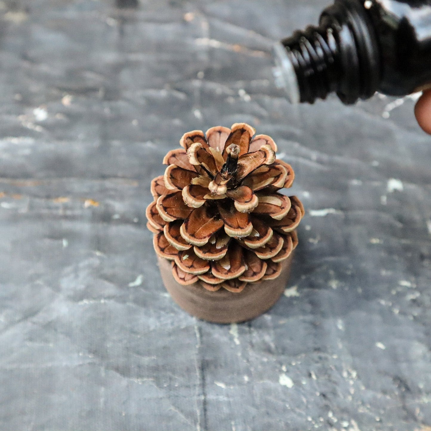 Pinecone Wooden Essential Oil Diffuser