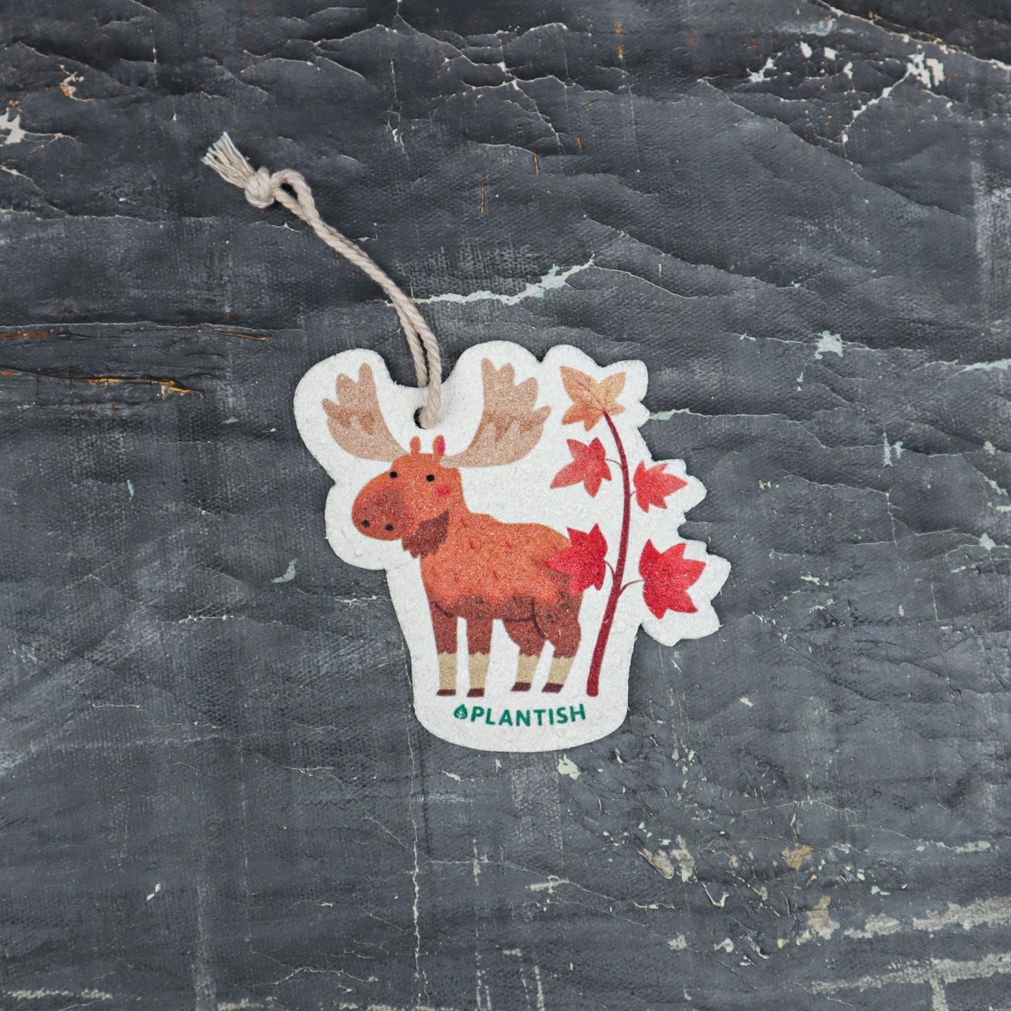 Autumn Moose - Pop up Sponge