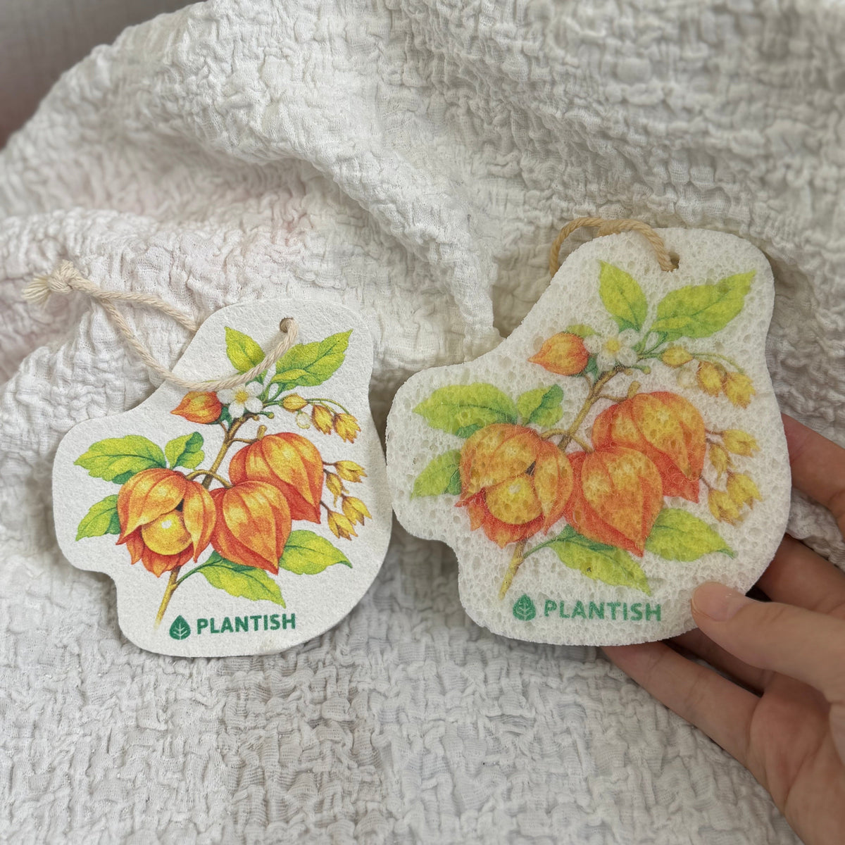 Set of 3 Garden Harvest Pop Up Sponges