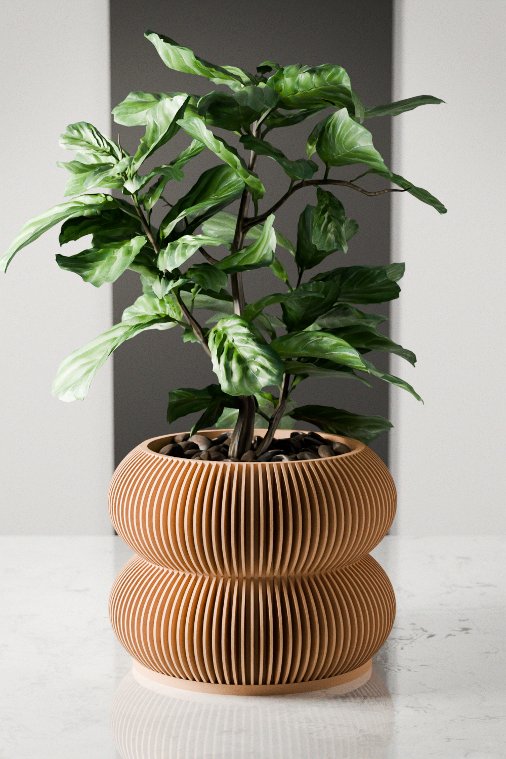 Double BUBBLES Planter-0