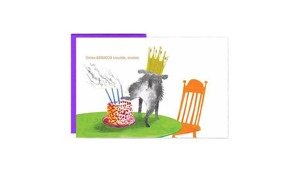 Live Off Leash - Set of 8 Cards-7