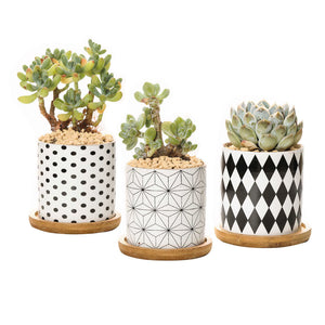 B&W Planters Set of 3-1