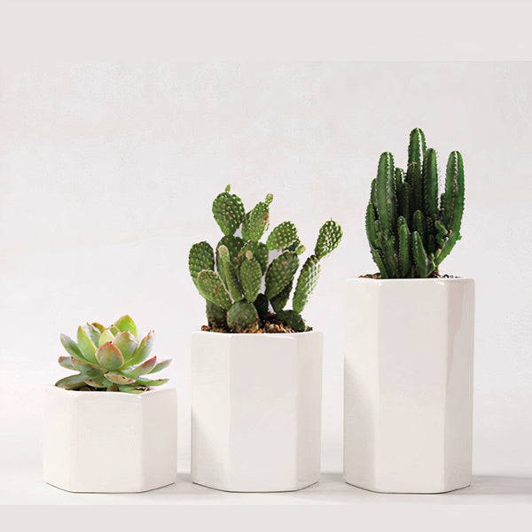 Jasmin Ceramic Pot Planter-2