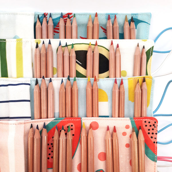 Pencil Case Small Popsicle-7