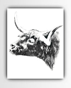 Highland Bull Art Print