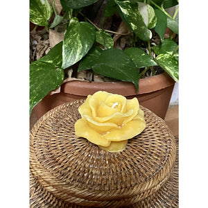 Beautiful Artistic Beeswax Candle – Rose