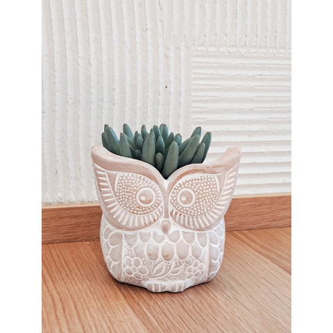 Terracotta Pot - Big Eye Owl