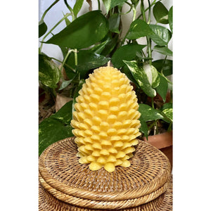 Pure Beeswax Candle – Pinecone