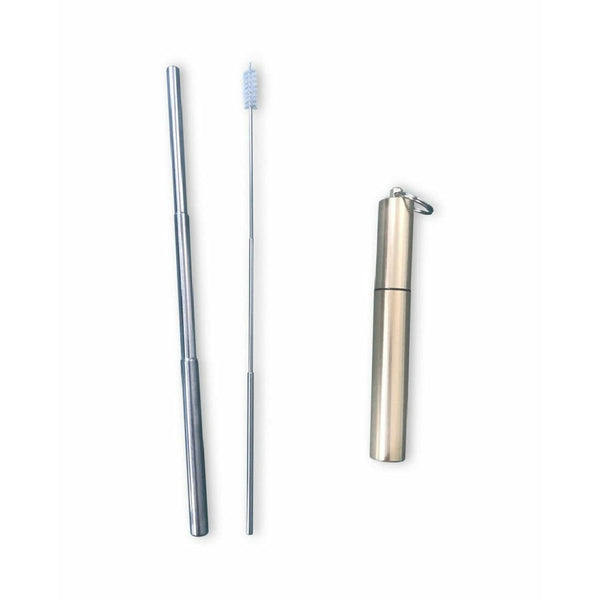 Telescopic S/S Straw + Cleaning Brush Kit Blue, Purple or Gold