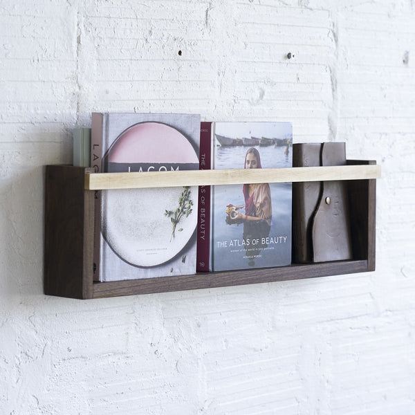 Modern Magazine & Vinyl Wall Rack