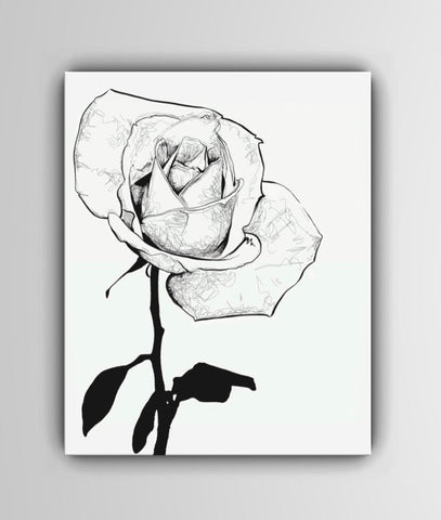 Black and White Single Rose Art Print