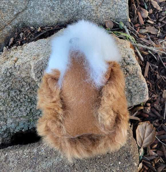 Fur Alpaca Guinea Pig ("Cuy")