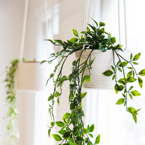 4 inch hanging planter