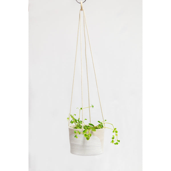 Arch Colour Block Hanging Planter (4in, 6in, 8in)