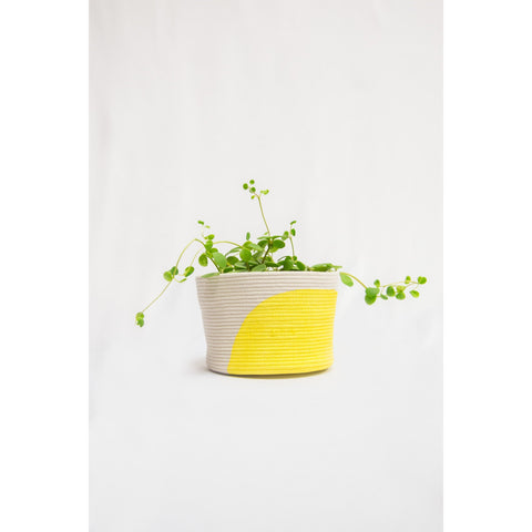 Arch Colour Block Basket (4in, 6in, 8in)