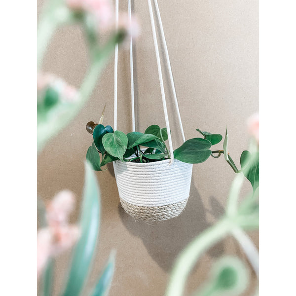 4 inch two toned woven hanging planter basket