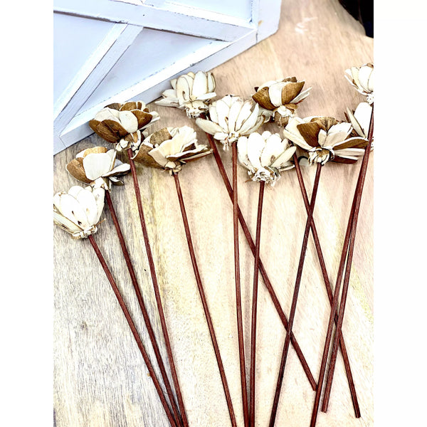 Assorted Mini Sola Wood Flower Reed Diffuser Replacement Sticks, 12 pk