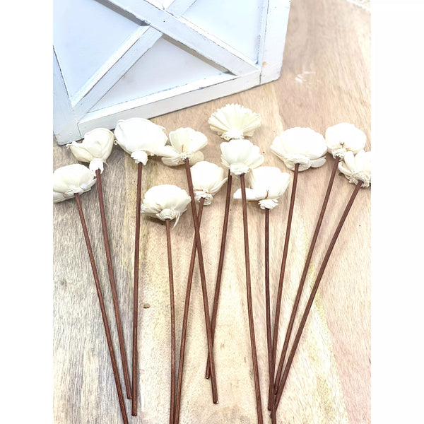Assorted Mini Sola Wood Flower Reed Diffuser Replacement Sticks, 12 pk