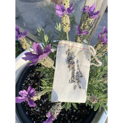 Organic Lavender Sachet