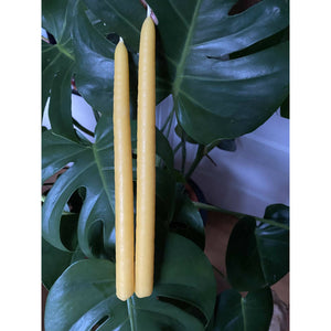 Pure Beeswax Candle – Big Taper Candles